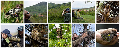 Serbia Birdwatching tour April 2012